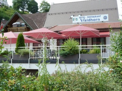 Foto: Waldhorn