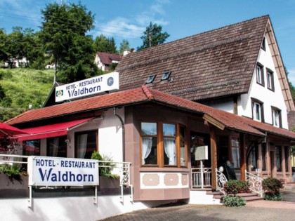 Foto: Waldhorn